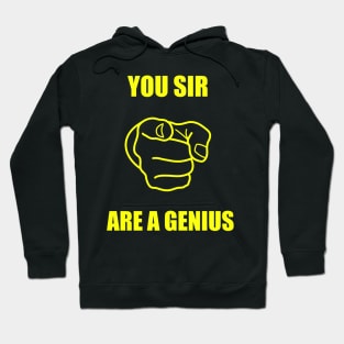 you sir are a genius Hoodie